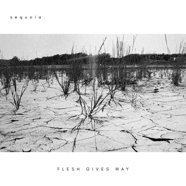 Sequoia Flesh Gives Way